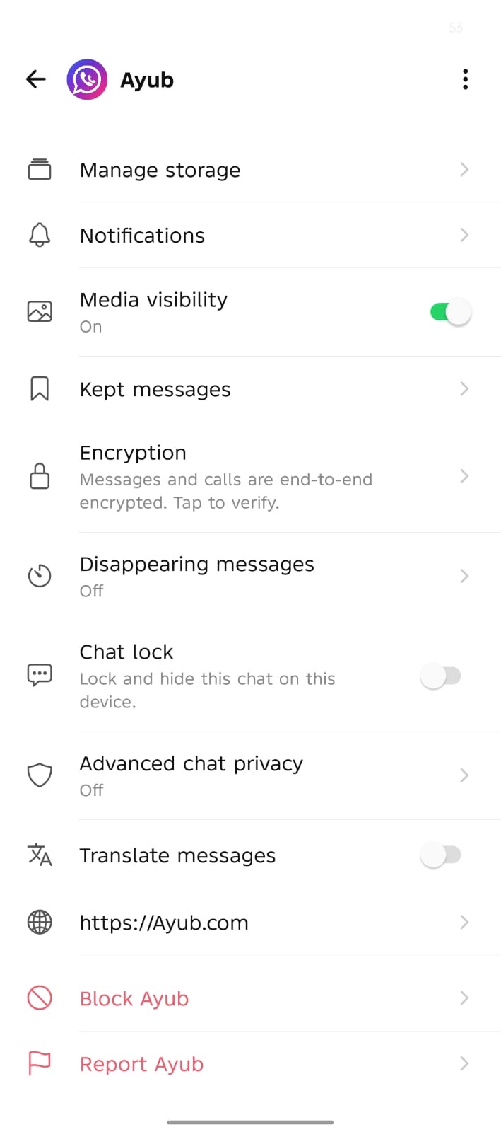 Encryption details inside a Chatro chat